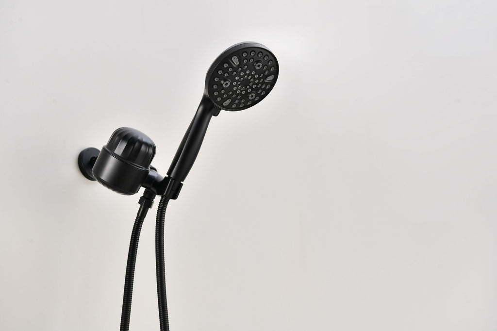 2.0 GPM Handheld Shower Head