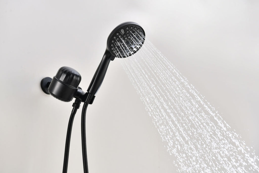 2.0 GPM Handheld Shower Head