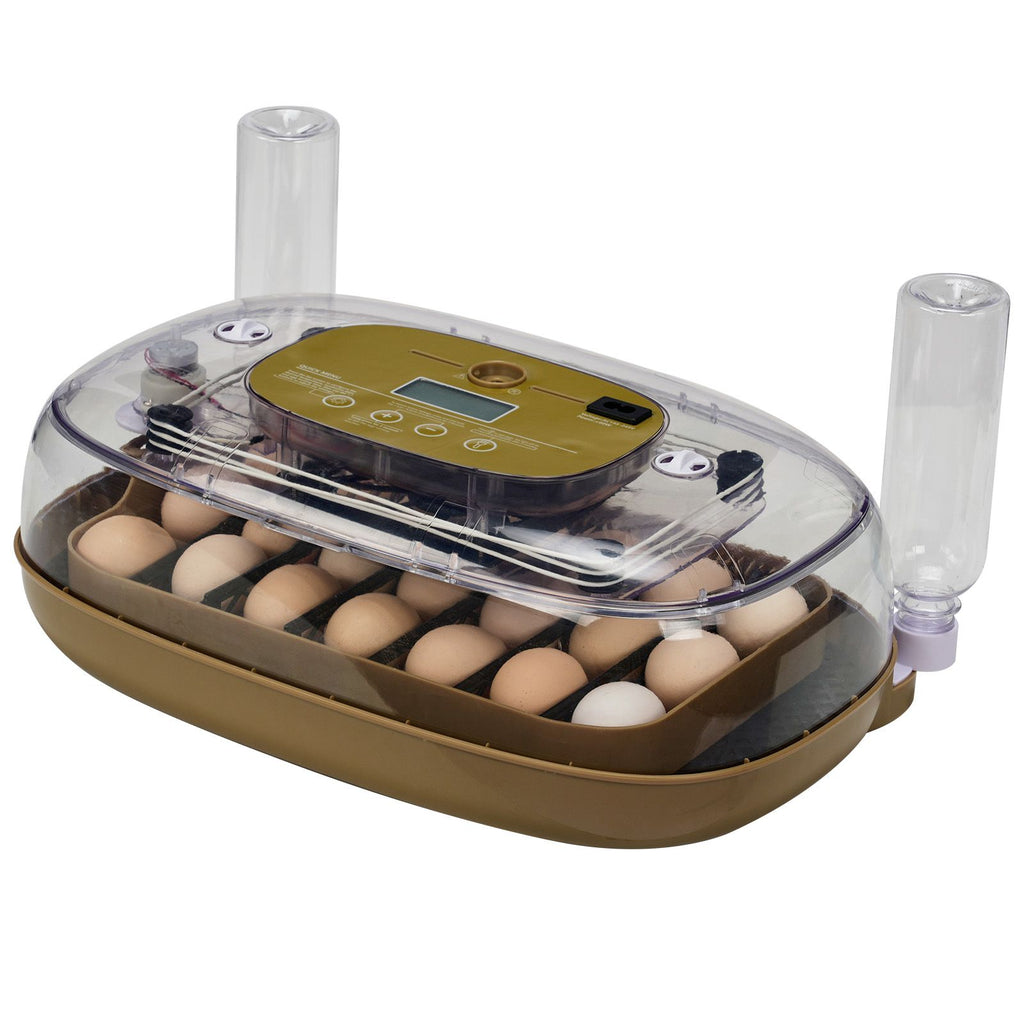 24 Egg Incubator with Automatic Egg Turning, 110V Digital Poultry Hatcher with LED Egg Candler, Temperature & Humidity Control, Auto Water Adding, for Chickens Ducks Quails, Khaki & Transparent