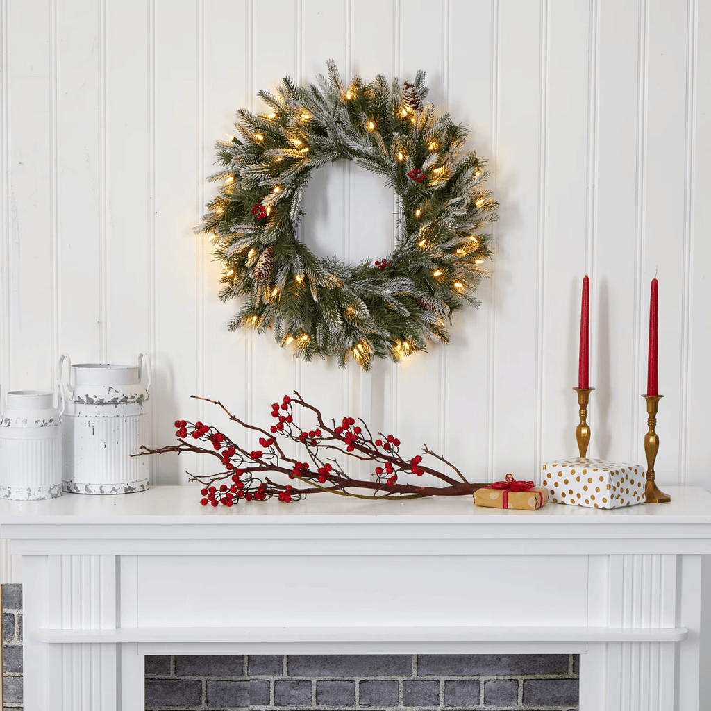 24" Snowed Artificial Christmas Wreath with 50 Warm White LED Lights and Pine Cones, Green