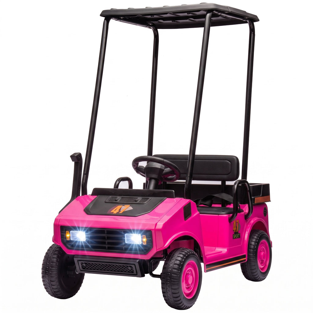 24V Kids Golf Cart 2WD 2-Seater with Remote, Soft Start, Rear Suspension, Sunshade, Storage, Gift for 3-6 Years, Pink