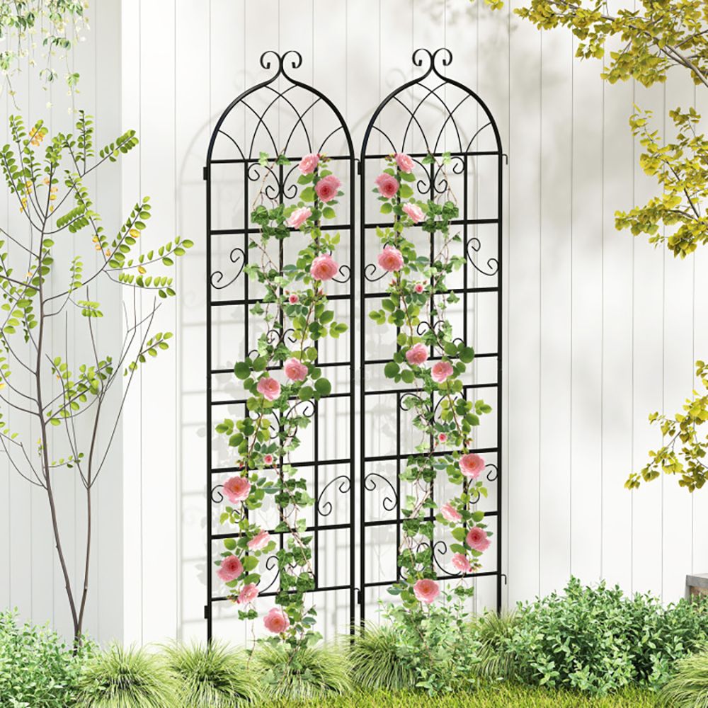 4 Pack 71" x 20" Metal Garden Trellis for Outdoor Climbing Plants