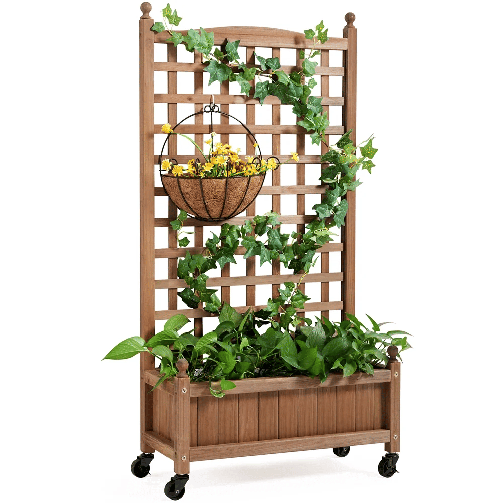 50" H Raised Garden Bed with Trellis Planter Box Dark Brown