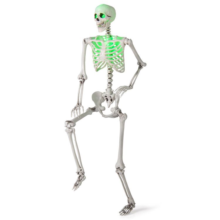 5.5 FT Halloween Skeleton Life-Size Posable for Indoor Outdoor Decoration