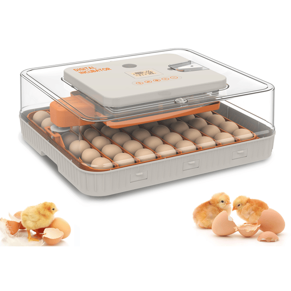 56 Egg Incubator with Automatic Turning & Humidity Control – Digital Poultry Hatcher for Chicken, Duck, and Goose Eggs – Built-in Egg Candler & Auto Water Refill, 360° Clear View