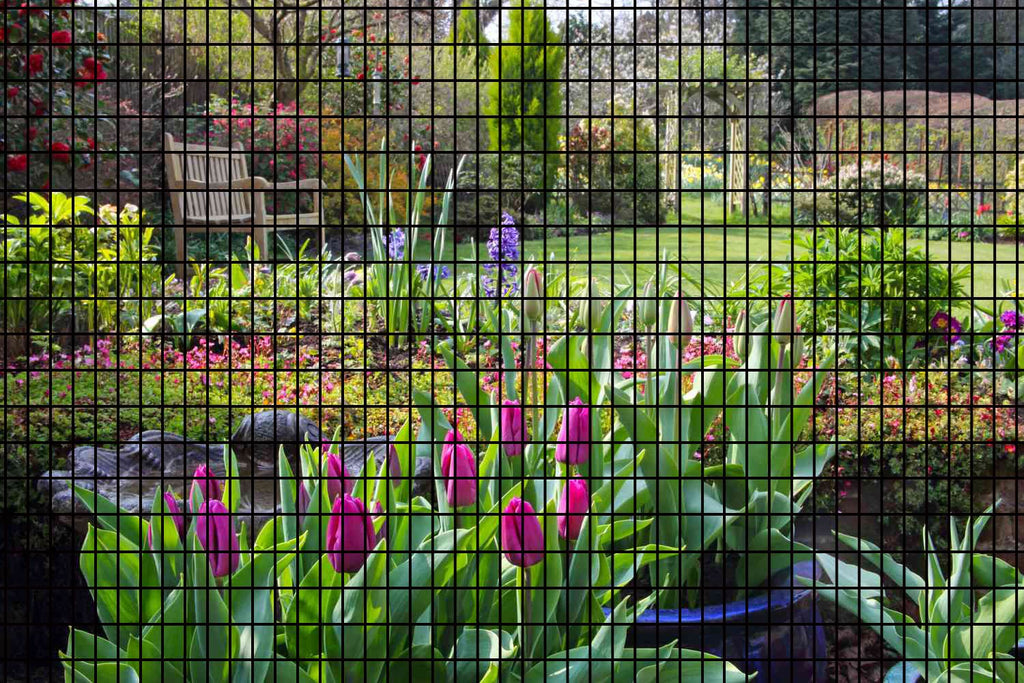 60inch x 50ft Black Vinyl Coated Hardware Cloth 2" X 4" 16Ga Welded Wire Mesh fence, PVC Coated Welded Chicken Wire Fencing, Metal Garden Plant Fencing, for Chicken Coop and Home Improvement