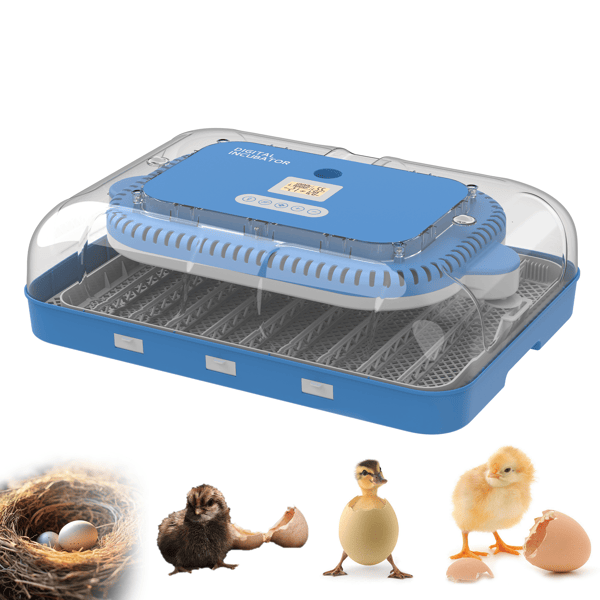 70 Egg Incubator with Automatic Turning & Humidity Control – Digital Poultry Hatcher for Chicken, Duck, and Quail Eggs – Auto Humidification & Temp Regulation for Farm, School & Lab Use