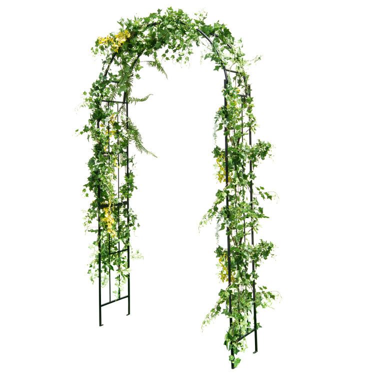 7.5 Feet Metal Garden Arch for Climbing Plants and Outdoor Garden Decor