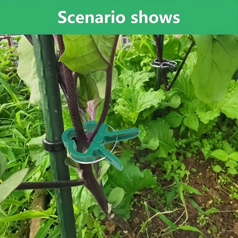 Plant Fixed Clips Reusable Garden Greenhouse Bracket for Fixed Plants Vine Flower Seedling Tomatoes Support Garden Supplies