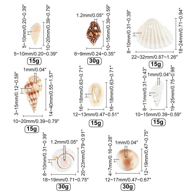 Sea Shells 466pcs 15 Style Spiral Shell Beads Undrilled Tiny Sea Shell Ocean Spiral Seashells Miniature Shells