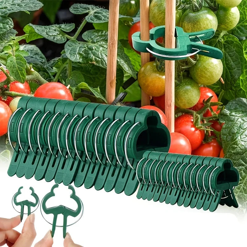 Plant Fixed Clips Reusable Garden Greenhouse Bracket for Fixed Plants Vine Flower Seedling Tomatoes Support Garden Supplies