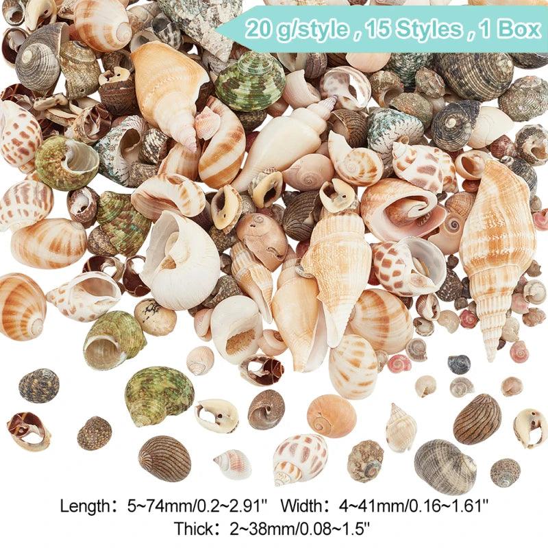 Sea Shells 466pcs 15 Style Spiral Shell Beads Undrilled Tiny Sea Shell Ocean Spiral Seashells Miniature Shells