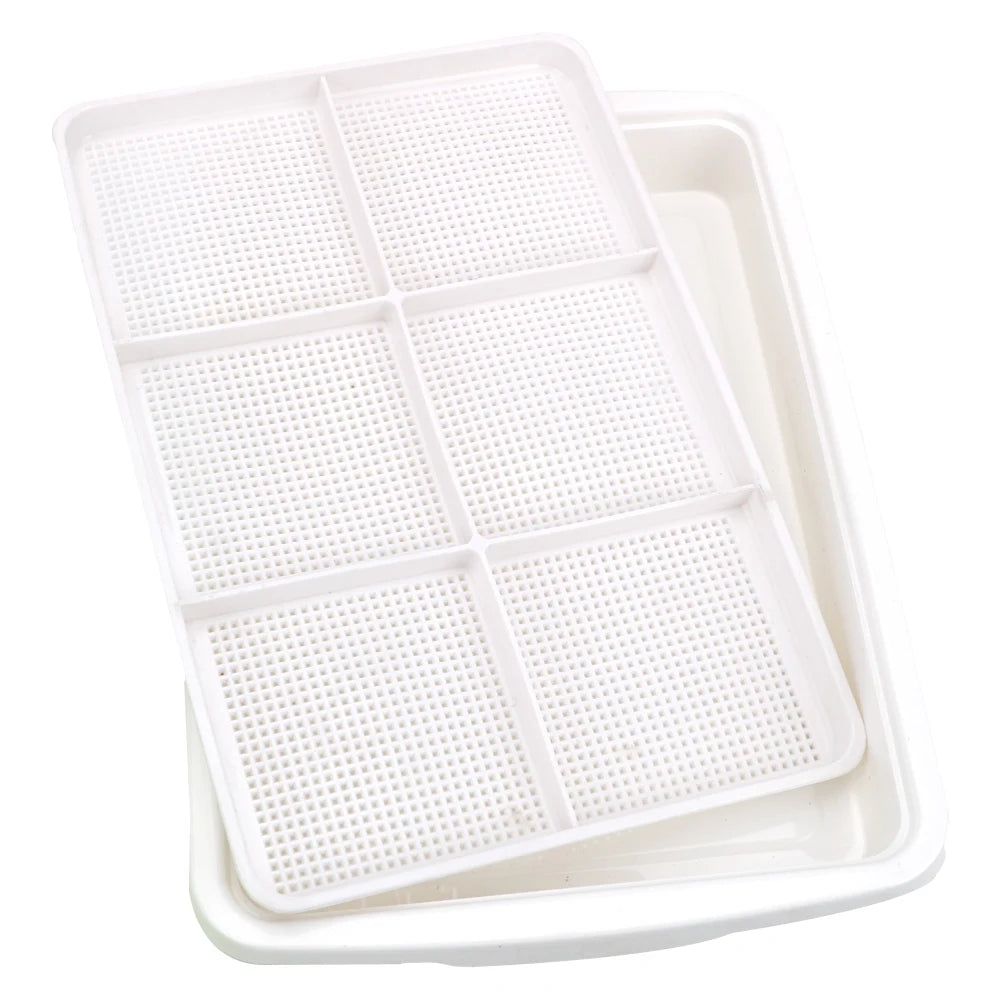 2 Layer Planting Dishes Plate Bean Sprouts Seedling Box Growing Seedlings Nursery Pots Tray Horticultural Hydroponic System