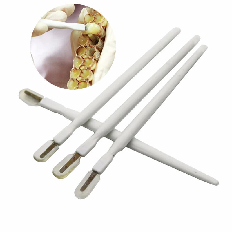 10 Pcs Bees Pulping Pen Squeegee Pen Beekeeping Tools Take  Pulp Pens Bee Equipment Supplies Grafting Royal Jelly Apiculture