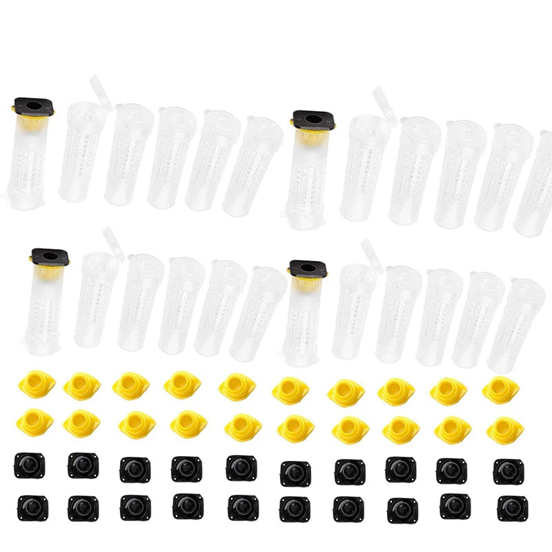Beekeeping Queen Bee Roller Cages Queen Bee Rasing Rearing Cell Cup Kit Holder Cell Fixture for Nicot System 20 pcs