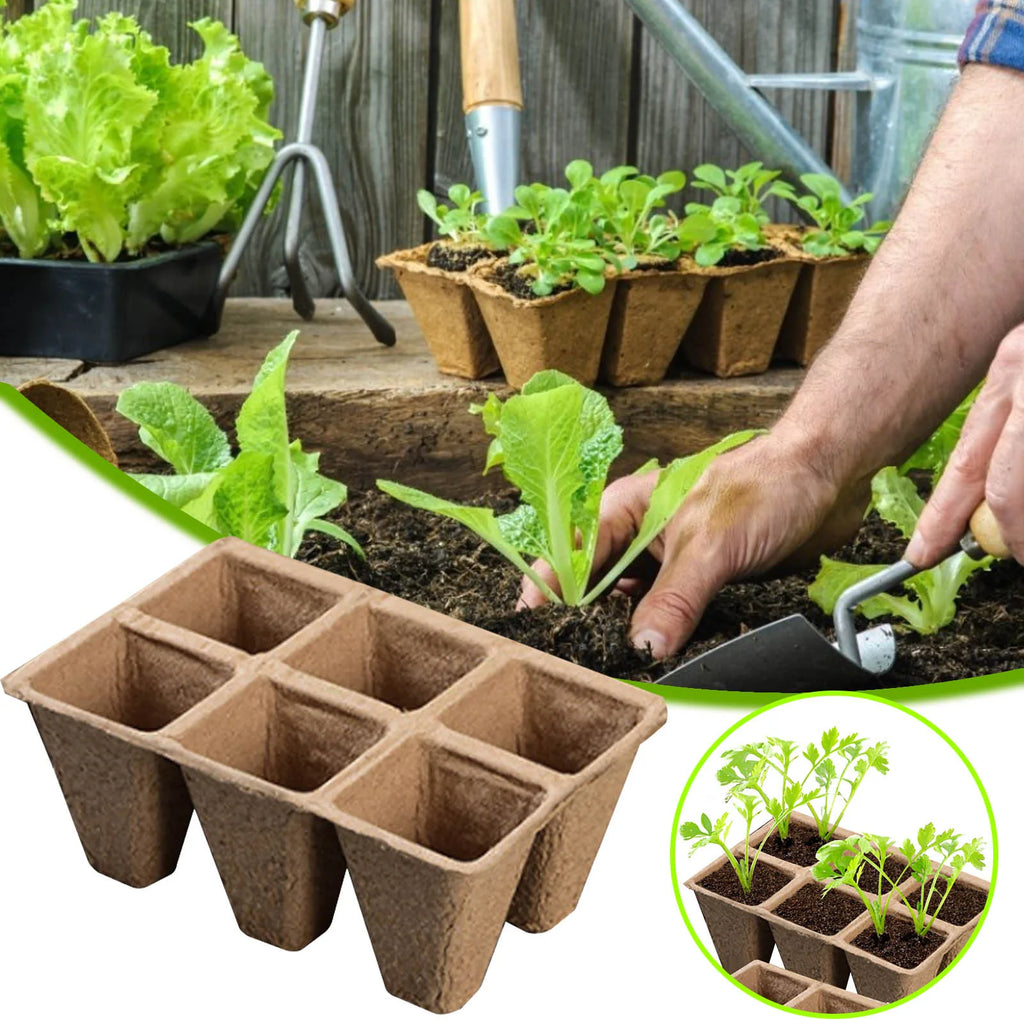 10/20Pcs Biodegradable Seed Starter Peat Pots Seed Growing Tray Planting Seed Tray Kit for Garden Grow Box Supplies Nursery Cup