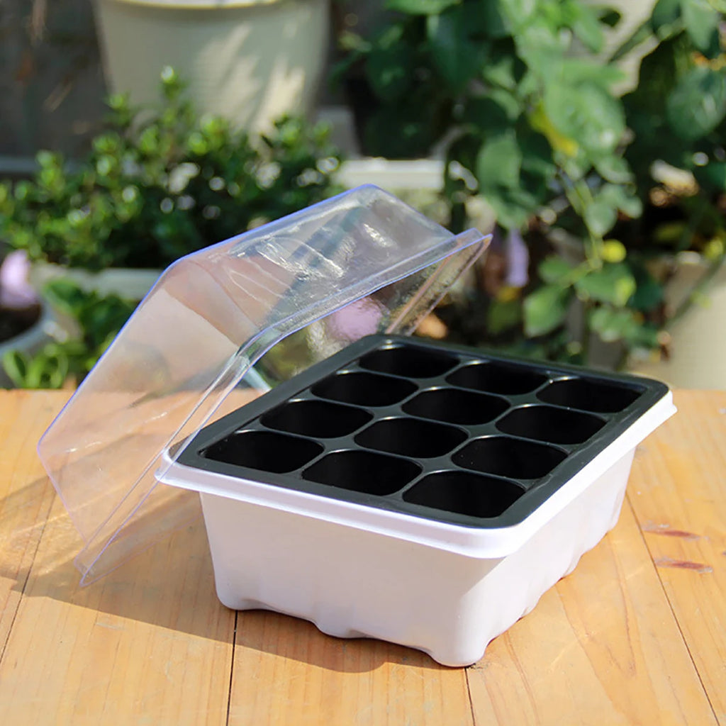 One set of three, breathable 12 hole plastic seedling boxplant cultivation moisturizing temperature box,succulent flowerseedling
