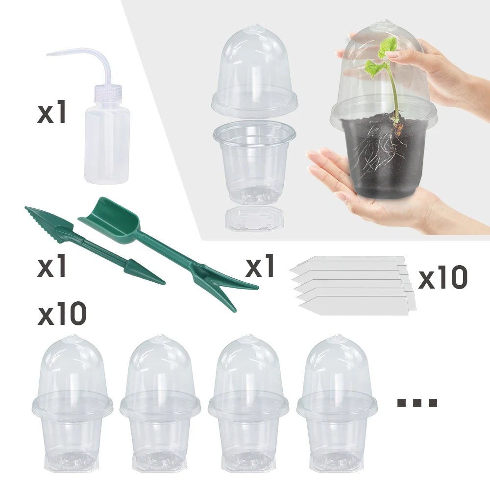 A set of Visible Clear Plants Germination Cup Transparent Plastic Nursery Growing Box Indoor Garden Greenhouse Seed Starter Tray