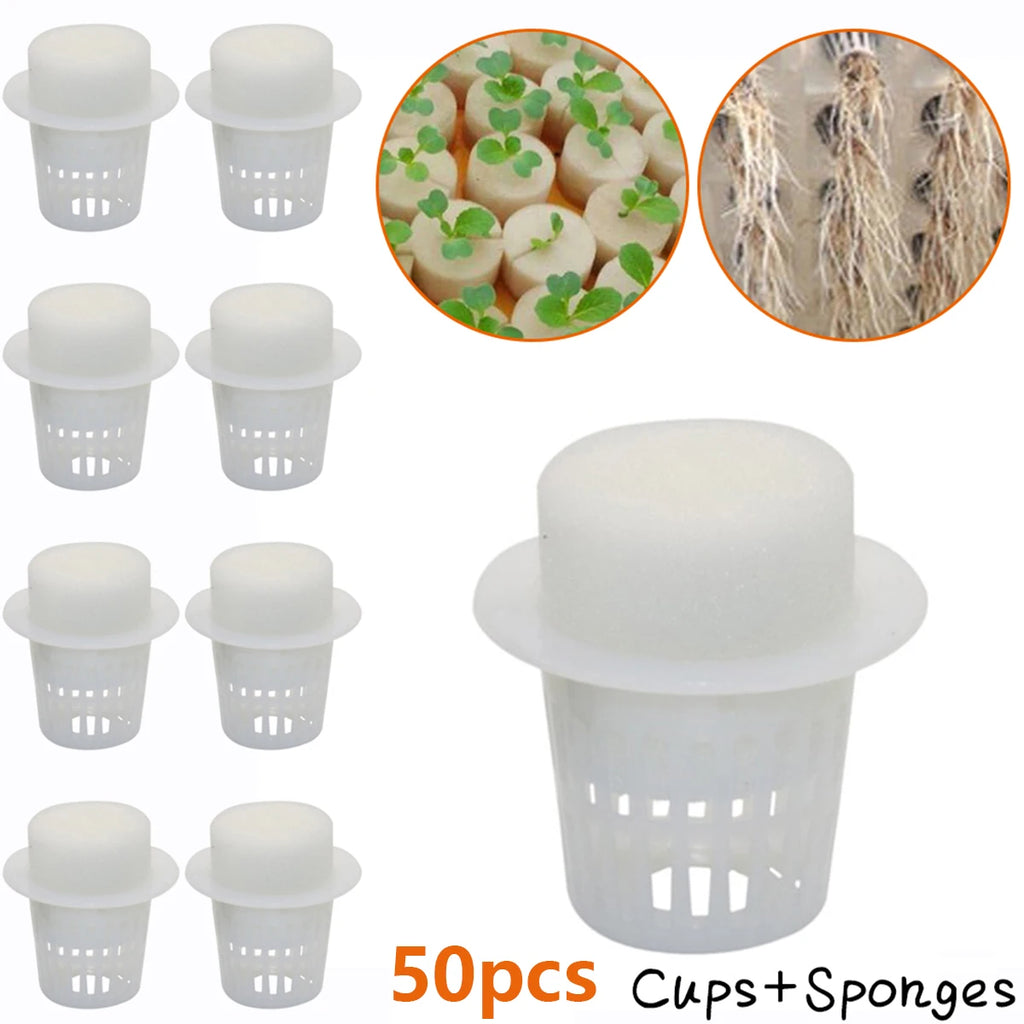Nursery Pots 50pcs Slotted Mesh Soilless Culture Vegetable Net Cups Basket Cylinders Sponge Garden Plant Mesh Pot