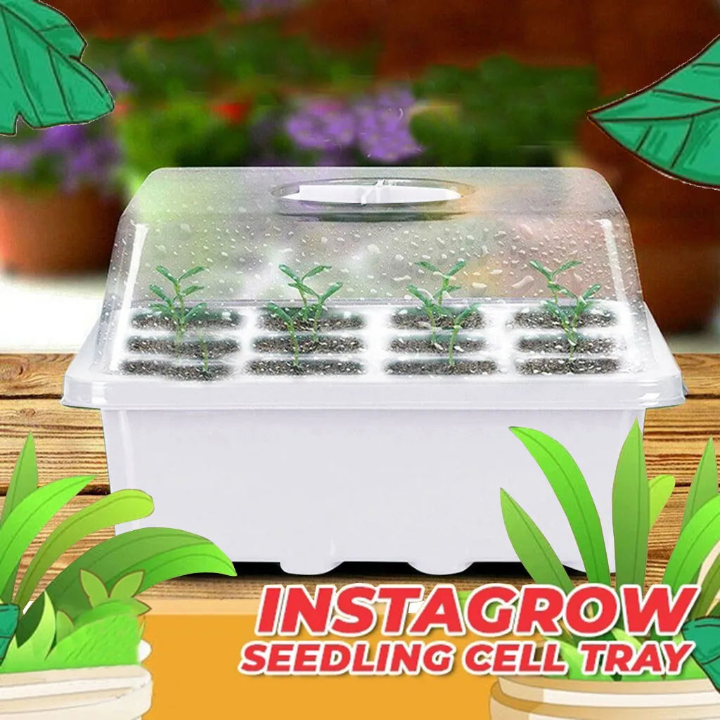 12 Hole Plant Seed Grows Box Nursery Seedling Garden Yard Tray Hot Seed Th Box Convenient For Daily Use Sowing Tray New