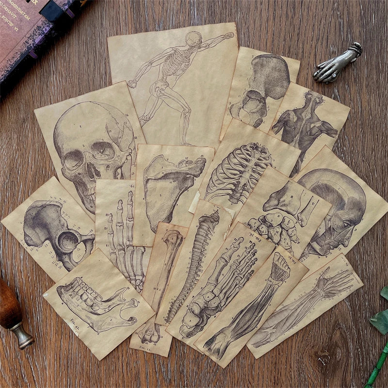 17 Piece Handmade Coffee Dyed Paper Skeleton Human Anatomy Material Paper Pack Junk Journal Ephemera Album Scrapbooking Material