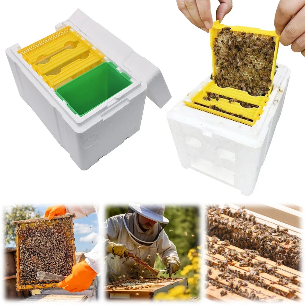 Foam Bee Box Versatile Queen Bee Breeding Box Beekeeper Case Bee Pollination Box for Bee Mating Rearing