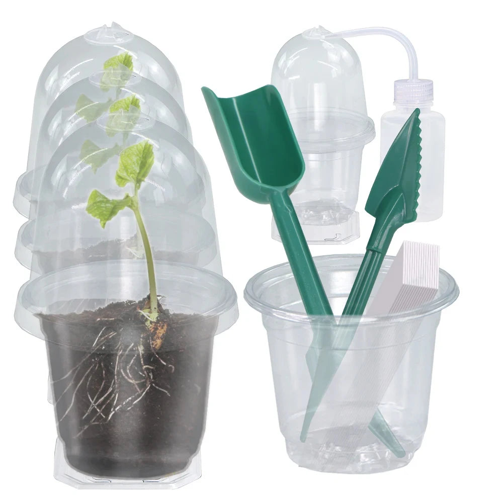 A set of Visible Clear Plants Germination Cup Transparent Plastic Nursery Growing Box Indoor Garden Greenhouse Seed Starter Tray