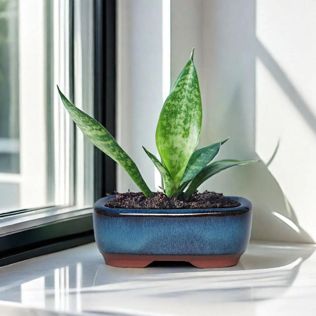 Mini Chinese Style Bonsai Pots Breathable Succulent Flower Pot with Holes Ceramic Craft Plant Pot Planter for Home Office Desk
