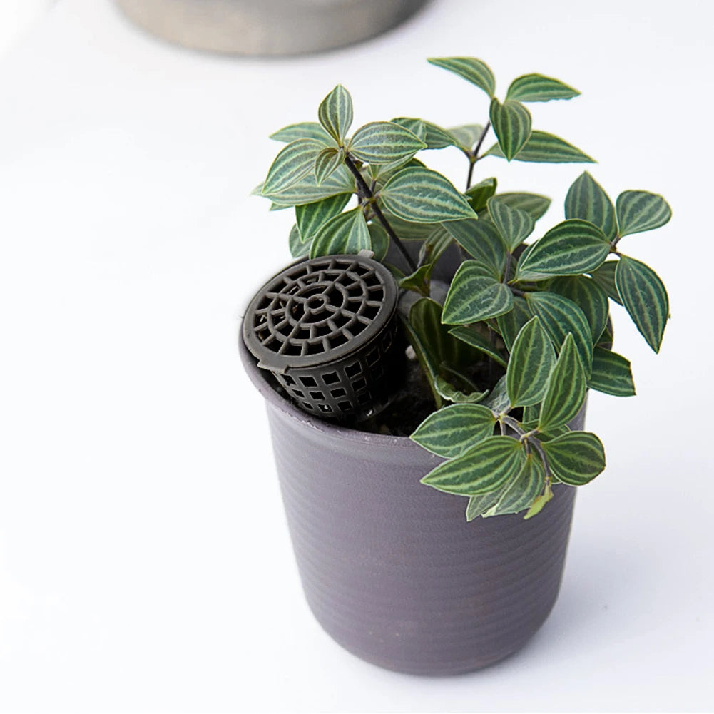 10-60PCS Portable Fertilizer Box Automatic Planting Cover Basket Box Plastic Plant Bug Nursery Pots With Lid Bonsai Tool