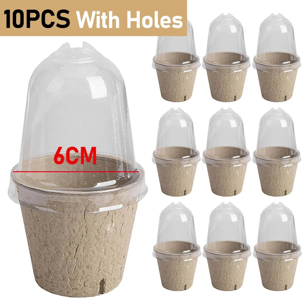 10pcs 6/8cm Paper Nursery Pots with Transparent Lid Round Biodegradable Seedlings FlowerPot Garden Cultivation Tray Nursery Cup