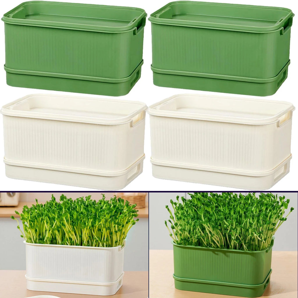 1/3 Pcs Seedling Tray Bean Sprouts Seedling Pots Free Seed Germination PropagationTraysSoil-Free Bean Sprouts for Home Plant