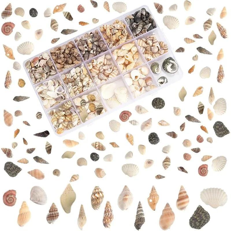 Sea Shells 466pcs 15 Style Spiral Shell Beads Undrilled Tiny Sea Shell Ocean Spiral Seashells Miniature Shells