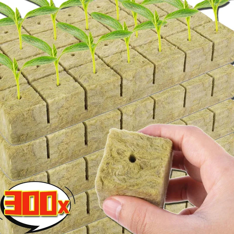 50/300pcs Stonewool Hydroponic Grow Media  Cube Soilless Substrate Seeded Rockwool Plug Seedling Planting Block Garden Supplies