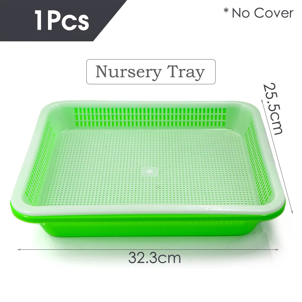 Seedling Trays Germination Box Kit Transparent Cover Nursery Seedling Greenhouse Indoor Garden Growth Pots Spray Bottle Humidity