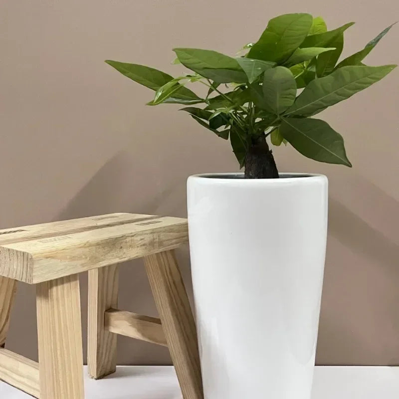 White Special Office Green Plant Pots High-profile Large and Small Tall Simple Home Decorative Cylindrical Flower Pots