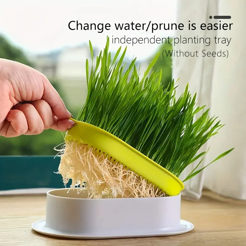 Universal planting box Cat grass potted plant set Cultivation planting box