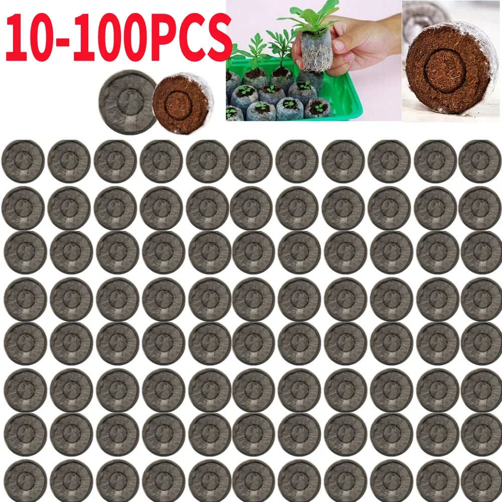 10/20pcs Jiffy Peat Pellets Seedling Soil Block Maker Starting Plugs Seeds Start