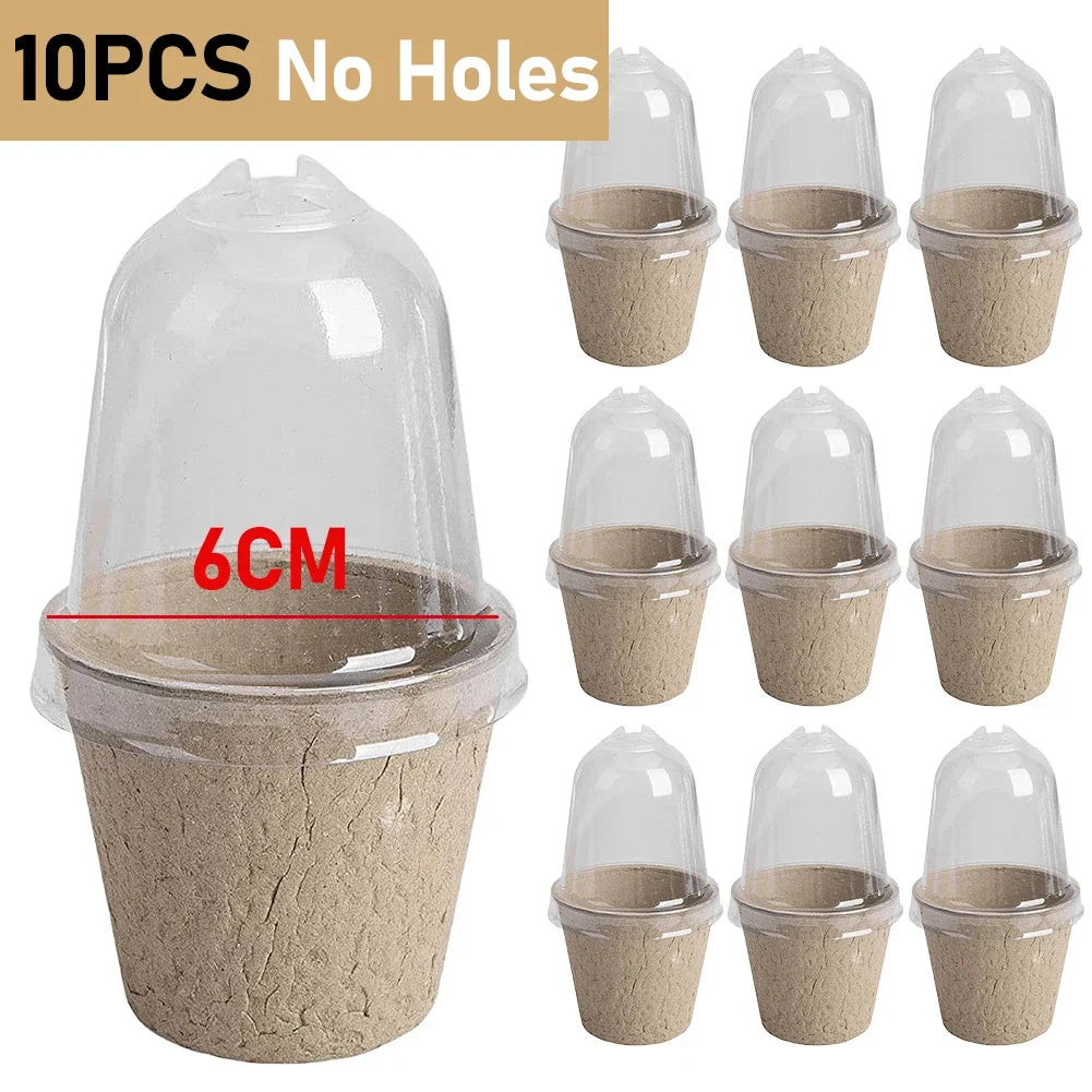 10pcs 6/8cm Paper Nursery Pots with Transparent Lid Round Biodegradable Seedlings FlowerPot Garden Cultivation Tray Nursery Cup