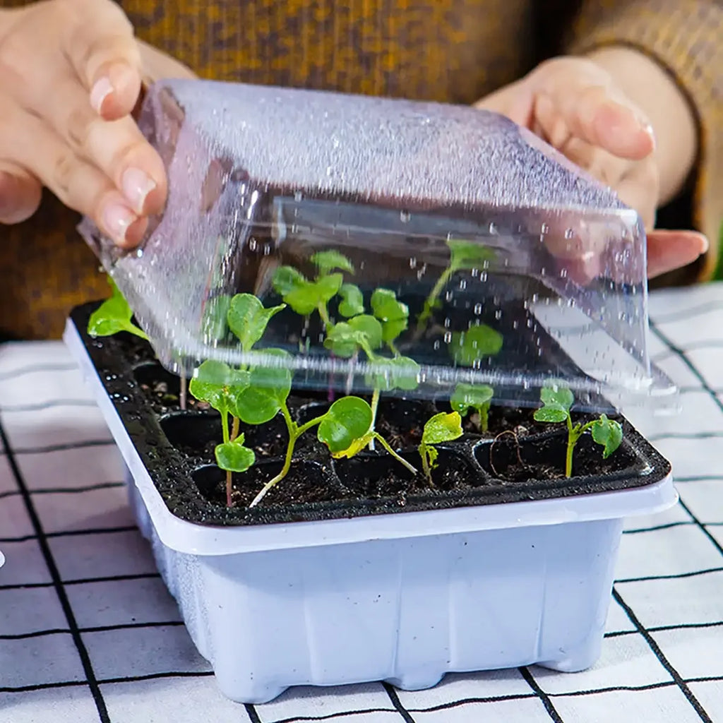 1 Set-Nursery Seed Planting Planting Pot Box Greenhouse Sowing Garden Seed Pot Tray Plant Plant Tray with Lid