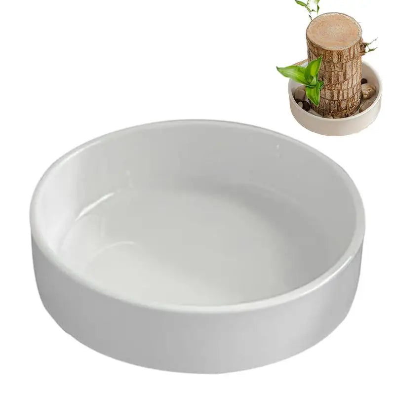 Wooden Decorative Tray Small Plant Pot Saucer Water Plant Dish Tabletop Tray Flower Pots For Living Room College Dorm Bedroom