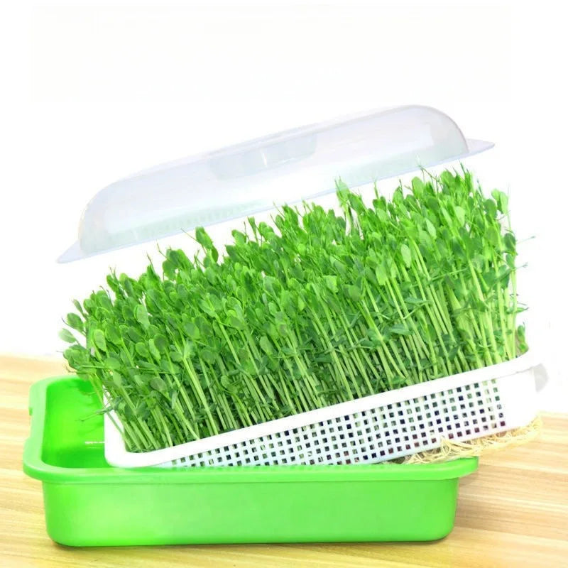 1set prout Sprout Pot Sprout Vegetable Seedling Tray Soilless Cultivation Hydroponic Equipment Pea Planting Sprout Bean Seedling