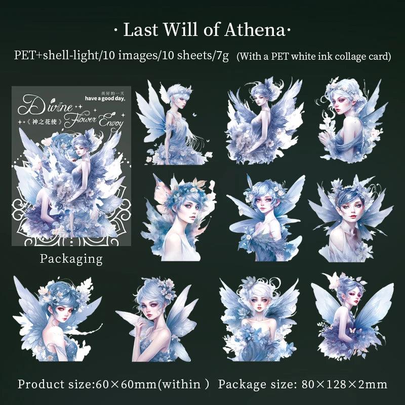 43399880442053
