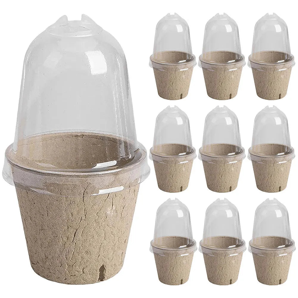 10Pcs Seedling Cup Seedling Pot Transparent Lid Germination Planter Biodegradable Greenhouse Breeding Box Gardening Supplies