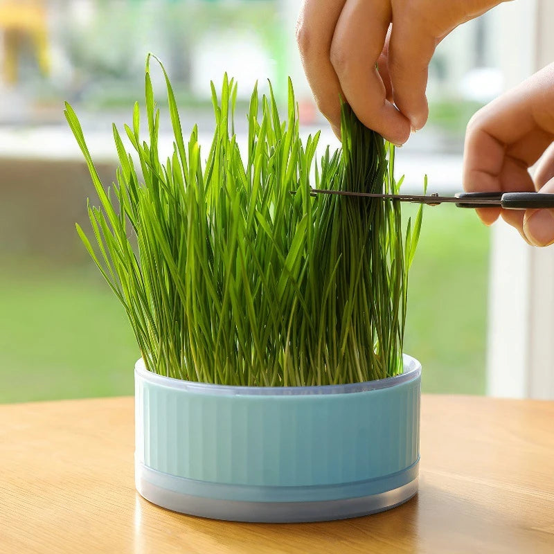 Round Shape Cultivation Sprouting Tray Creative Reusable Hydroponic Sprouting Plate Cat Grass Planting Multi functional