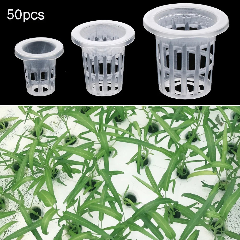 10/50pcs Soilless Hydroponic Vegetables Nursery Pots Planting Basket Flower Seed Cultivation Soilless Cultivation