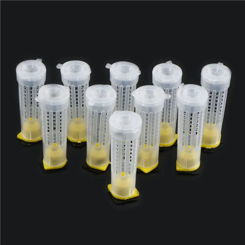 10Pcs Beekeeping Rearing Cup Kit Bee Queen Cages Roller Beekeeper Equipment Tool