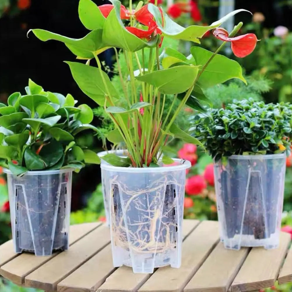 Plastic Transparent Flower Pot Round Square Clear Phalaenopsis Orchid Potted Stomata Cattleya Planting Plant Pot with Holes