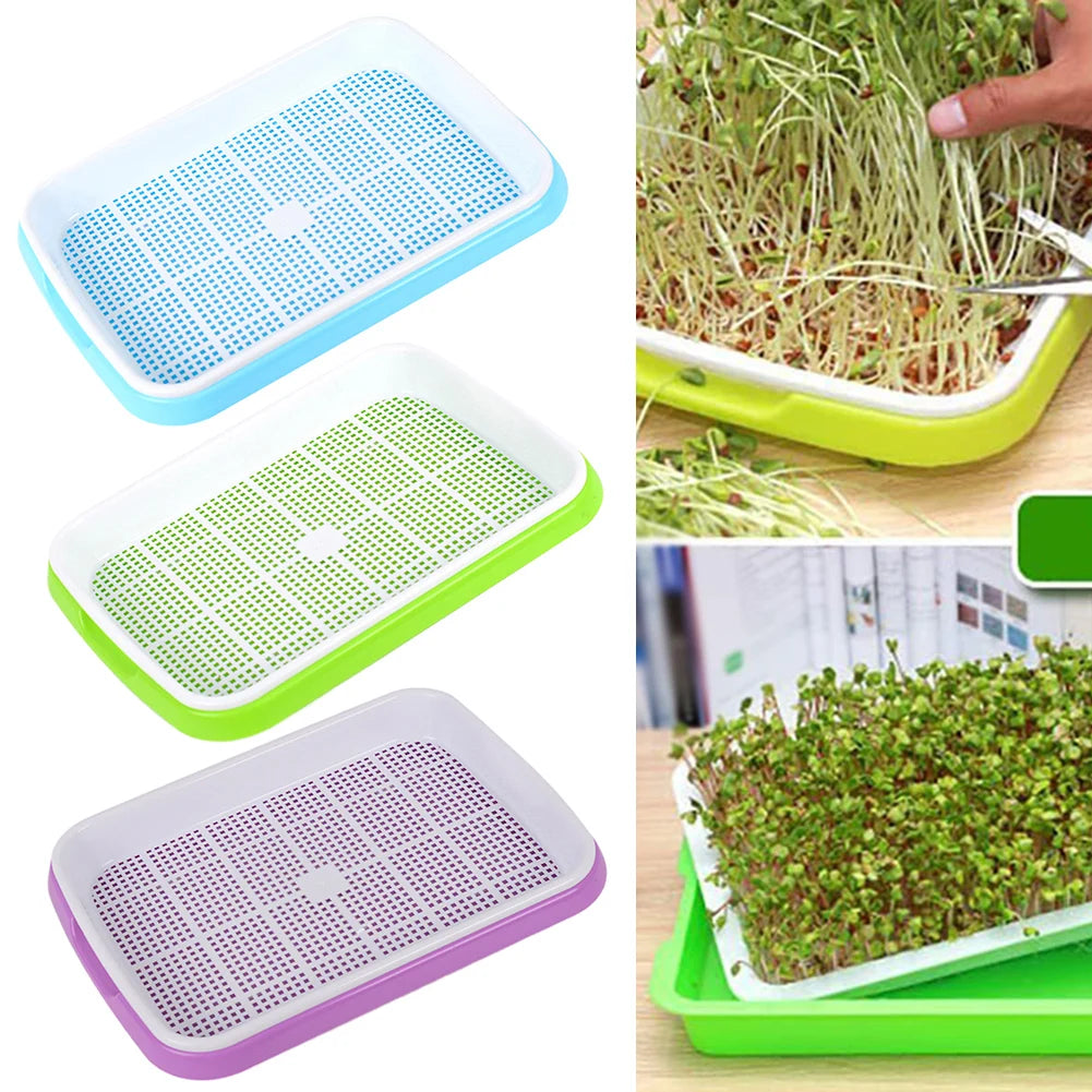 1pc Multifunction Grain Sprouter Germination Tray Free Nursery Tray For Grain Nursery Pots Tray Grow Basket Hydroponics Tool