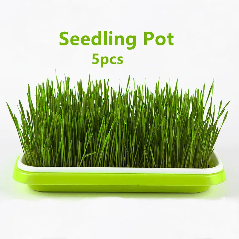 Microgreens 2 Layer Hydroponic Tray Sprouts Tray Anti-mosquito Bites For Garden Farm Cultivates Grows Plant Flower