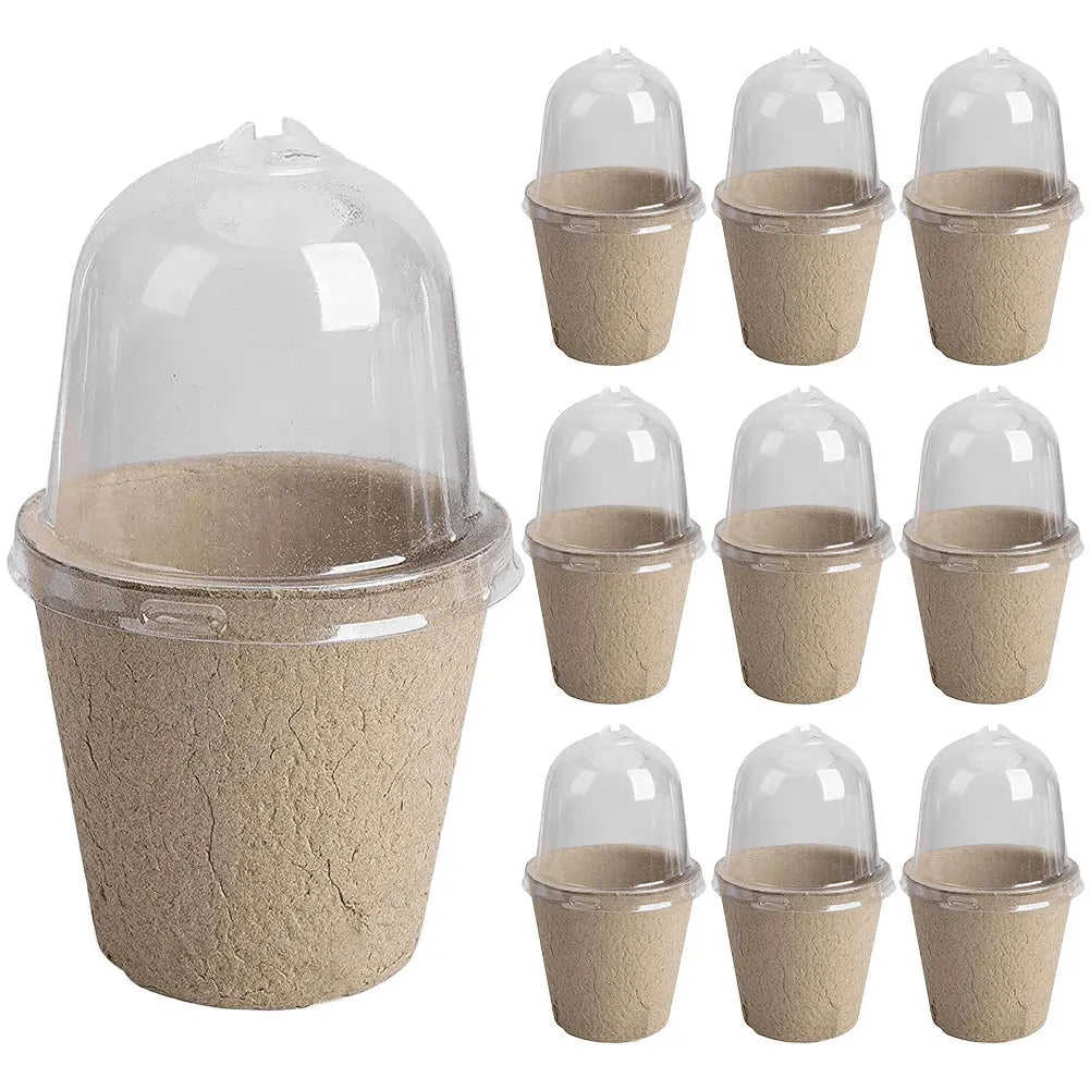 10Pcs Seedling Cup Seedling Pot Transparent Lid Germination Planter Biodegradable Greenhouse Breeding Box Gardening Supplies